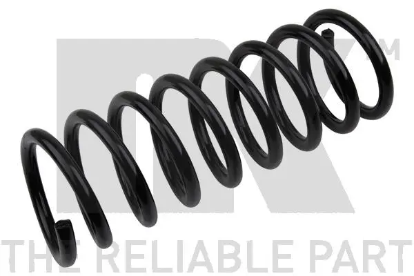 Suspension Spring (542548)