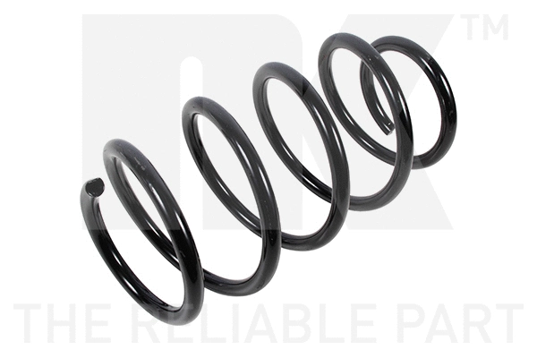 Suspension Spring (532239)