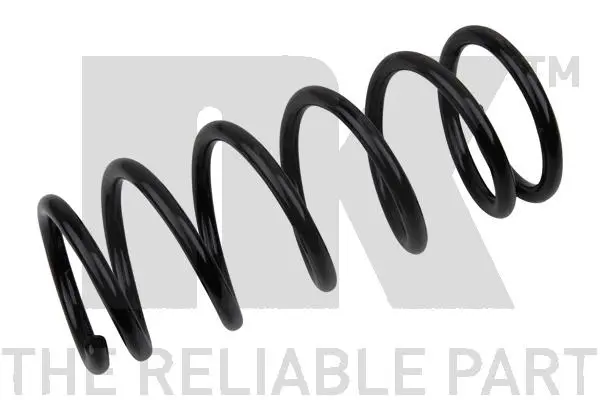 Suspension Spring (542224)