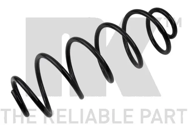 Suspension Spring (541903)