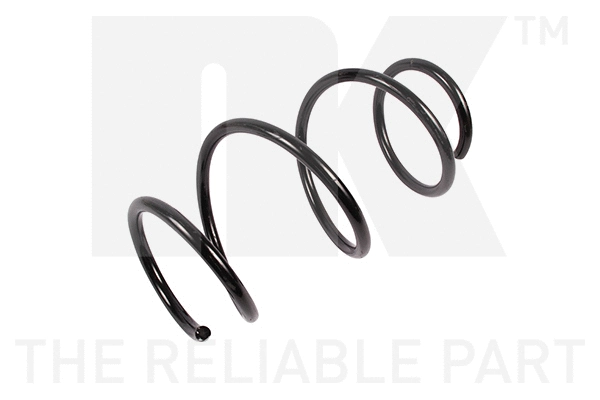 Suspension Spring (531570)