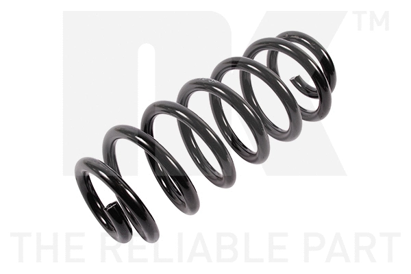 Suspension Spring (5447209)