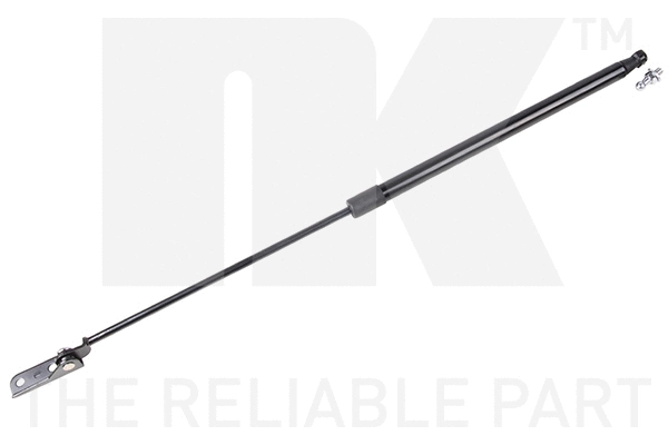 Gas Spring, boot/cargo area (11052004)