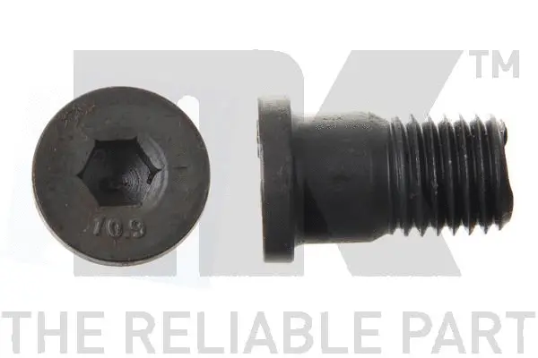Bolt, brake disc (89011666)