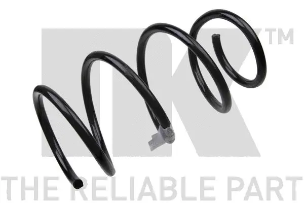 Suspension Spring (531549)
