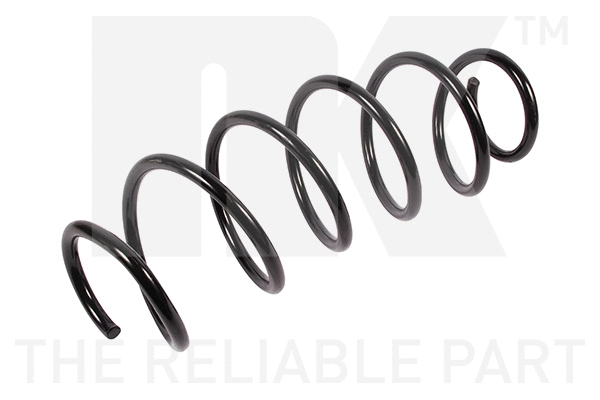 Suspension Spring (5319105)