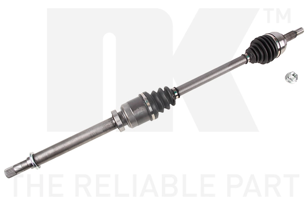Drive Shaft (503983)