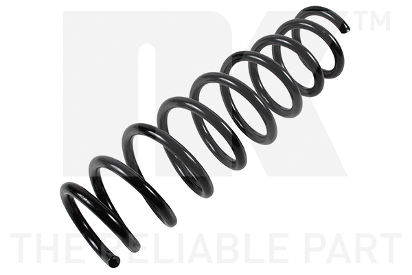 Suspension Spring (541008)