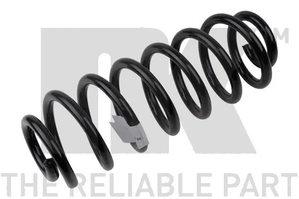 Suspension Spring (541542)