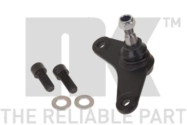 Ball Joint (5041517)
