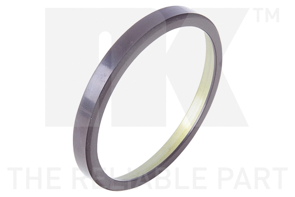 Sensor Ring, ABS (391958)