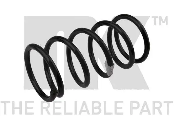 Suspension Spring (545006)