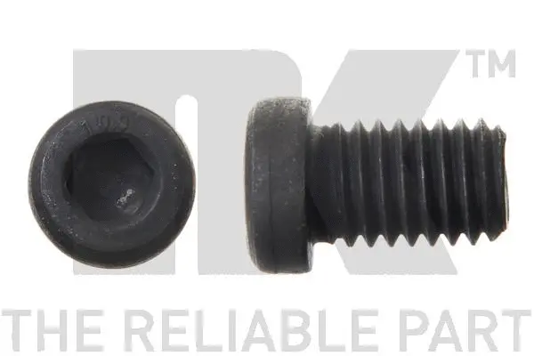 Bolt, brake disc (89011668)
