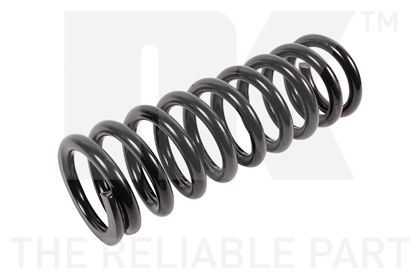 Suspension Spring (543399)