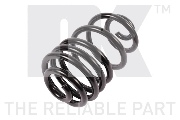 Suspension Spring (5436115)