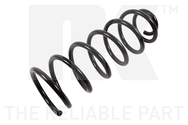Suspension Spring (543732)