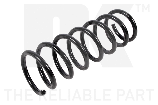 Suspension Spring (544823)