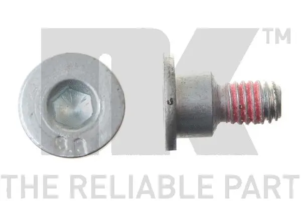Bolt, brake disc (89011660)