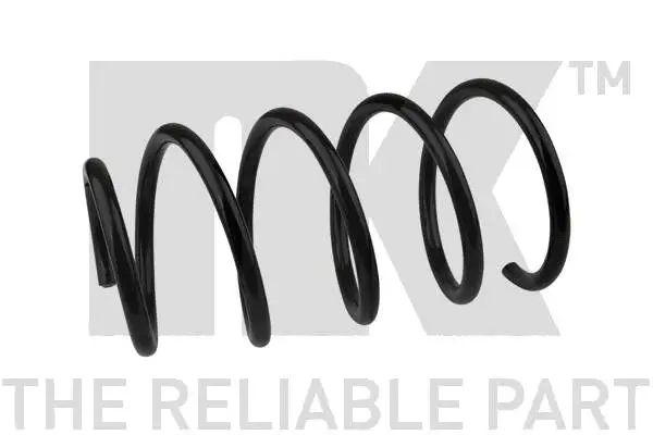 Suspension Spring (5345103)