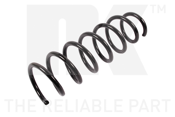 Suspension Spring (541571)