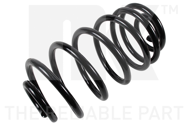 Suspension Spring (543692)