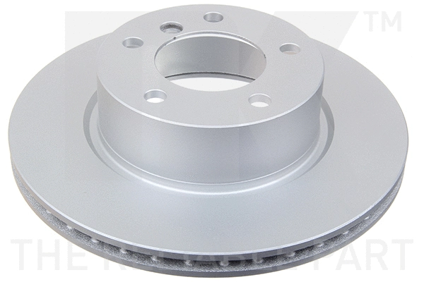 Brake Disc (311555)