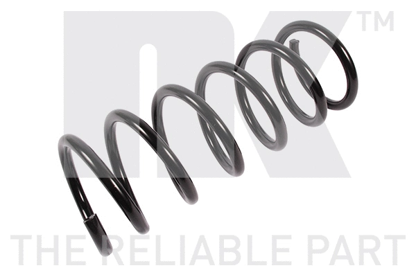 Suspension Spring (542578)