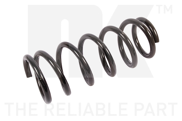 Suspension Spring (542614)