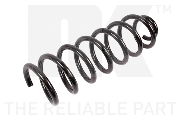 Suspension Spring (543940)