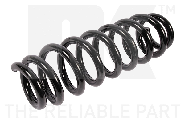 Suspension Spring (541560)
