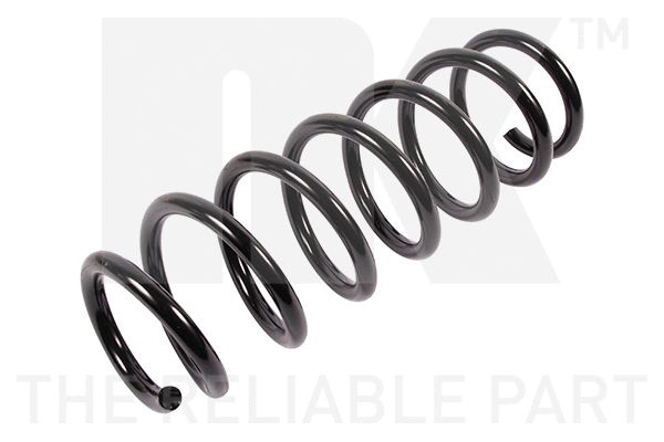 Suspension Spring (541563)