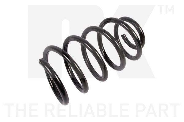 Suspension Spring (543698)