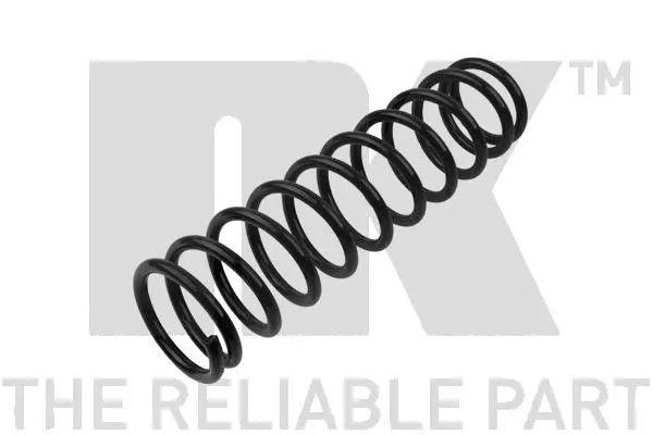 Suspension Spring (543010)