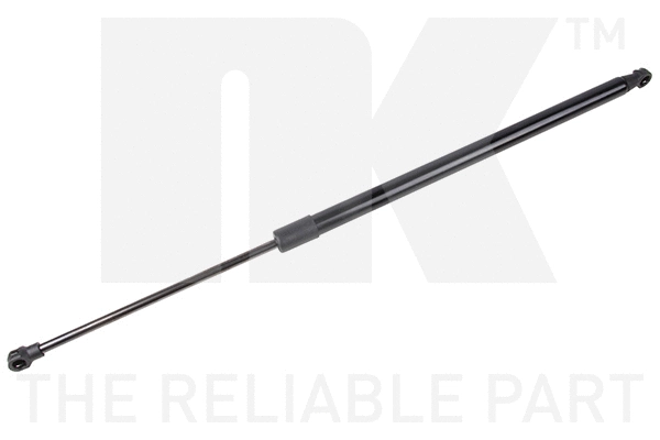 Gas Spring, boot/cargo area (11022006)