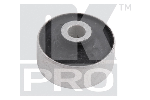 Mounting, control/trailing arm (5104736PRO)