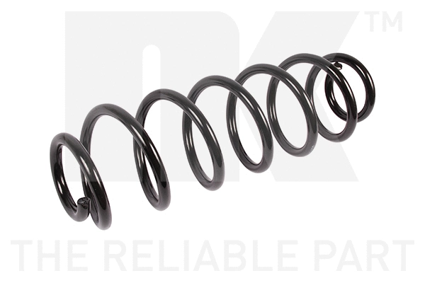 Suspension Spring (541933)