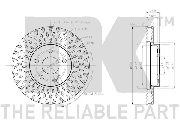 Brake Disc (3133136)