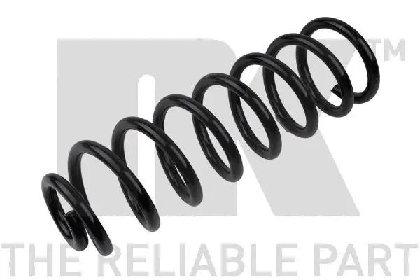 Suspension Spring (543915)