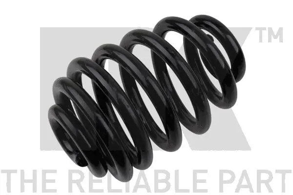 Suspension Spring (543353)