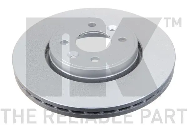 Brake Disc (313919)