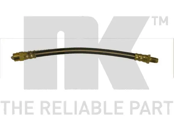 Brake Hose (859918)