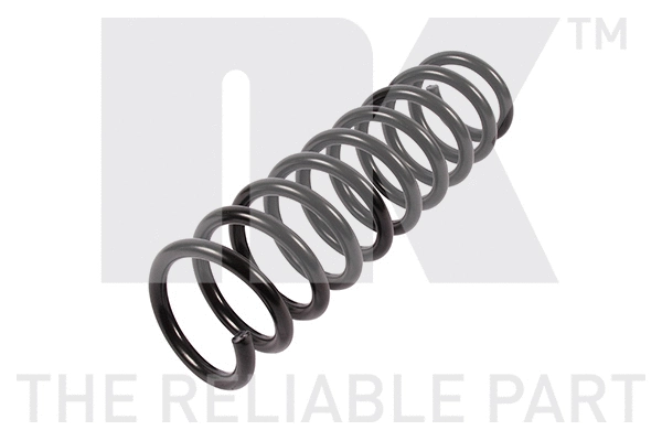 Suspension Spring (543016)