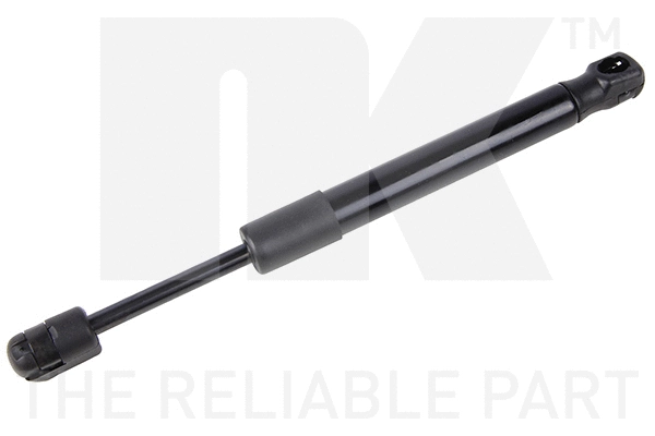 Gas Spring, boot/cargo area (11032016)