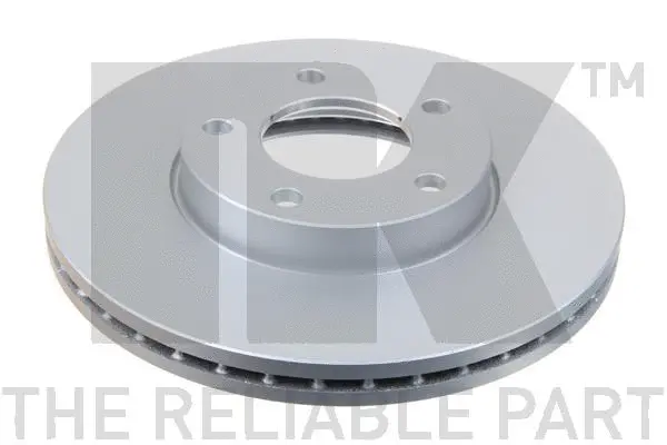 Brake Disc (313251)