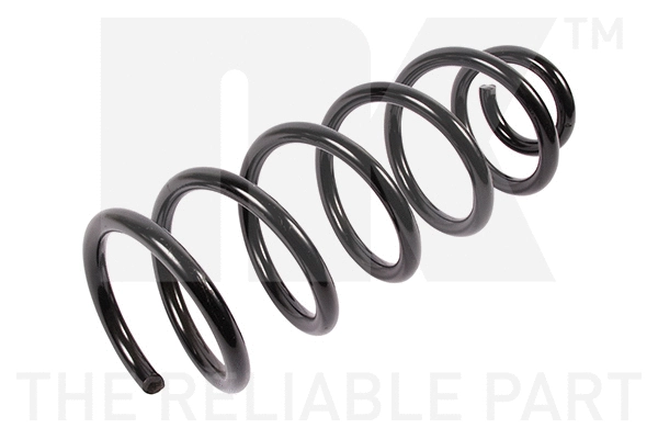 Suspension Spring (543231)