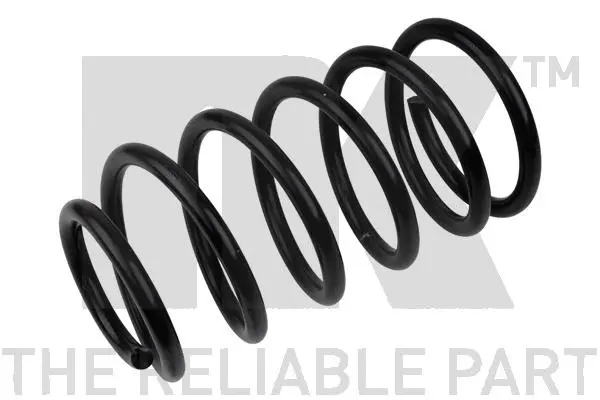 Suspension Spring (542555)