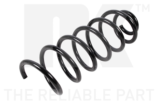 Suspension Spring (541939)