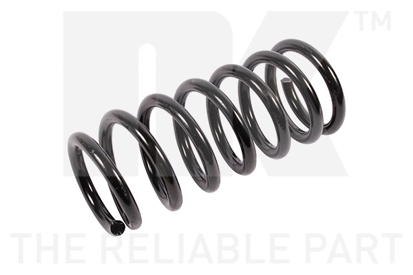 Suspension Spring (542230)