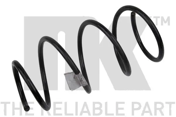 Suspension Spring (541006)