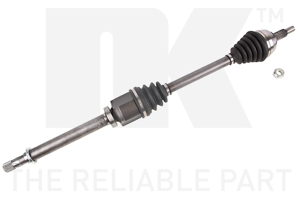 Drive Shaft (503981)